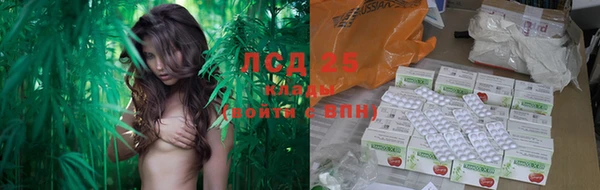 прущие крисы Верея