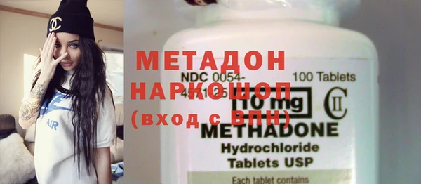 прущие грибы Бородино