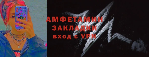 прущие грибы Бородино