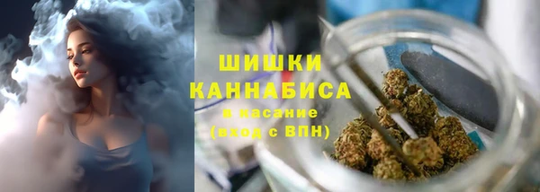 прущие грибы Бородино