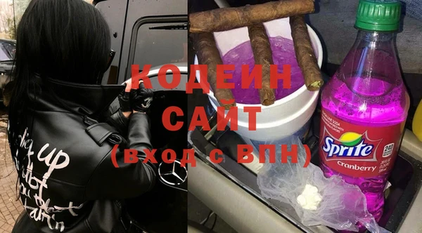 прущие грибы Бородино