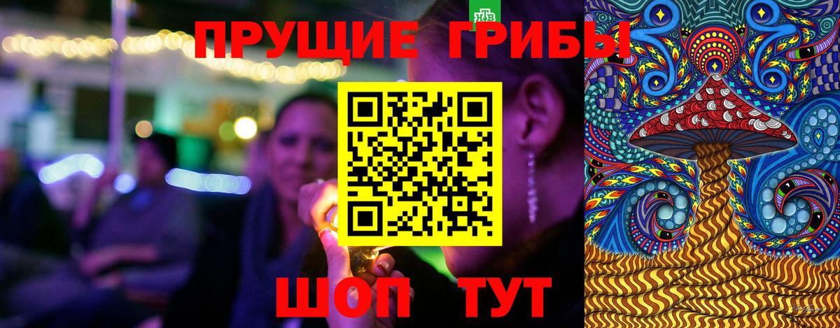 Северск  Псилоцибиновые грибы ЛСД  Вход с VPN 